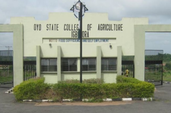 Oyscatech HND Admission List 2021/2022
